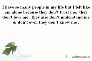 I have so many people in my life but I felt like am alone because they don't trust me,  they don't love me , they also don't understand me & don't even they don't know me .