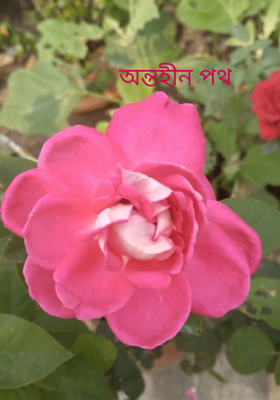 অন্তহীন পথ