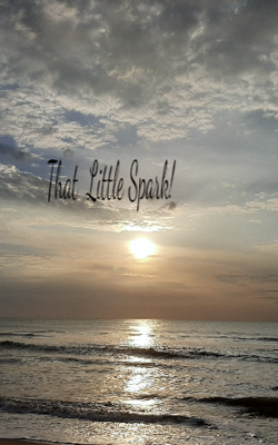 That  Little Spark!