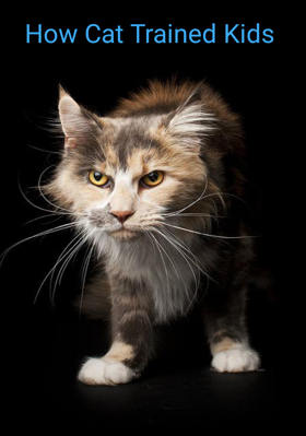 How Cat Trained Kids