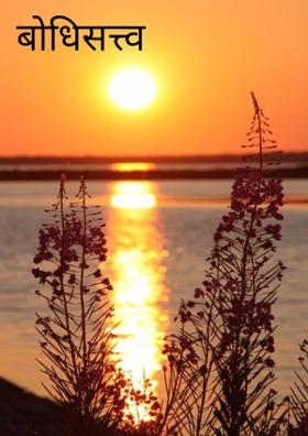 बोधिसत्त्व