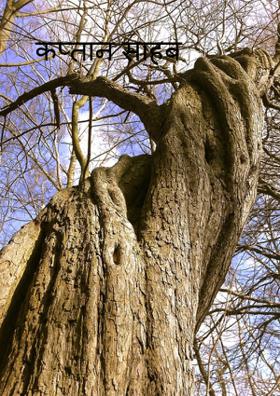 कप्तान साहब