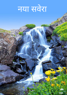 नया सवेरा
