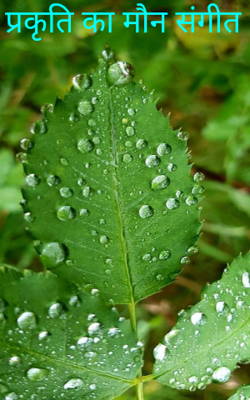 प्रकृति का मौन संगीत