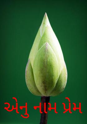 એનું નામ પ્રેમ