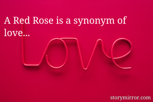A Red Rose is a synonym of love...