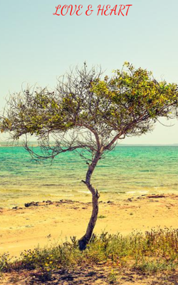 LOVE & HEART