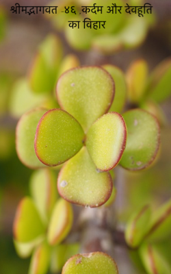 श्रीमद्भागवत -४६ ;कर्दम और देवहूति का विहार