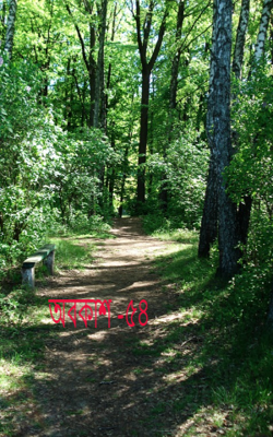 অবকাশ -৫৪