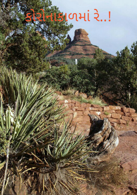 કોરોનાકાળમાં રે