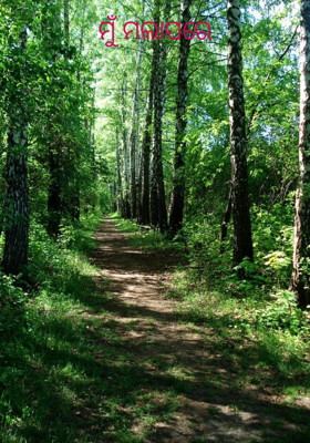 ମୁଁ ମଲାପରେ