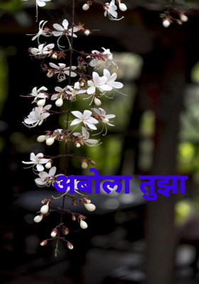 अबोला तुझा