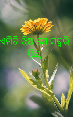 ଏମିତି ଝିଅ ସେ ସବୁରି ପ୍ରିୟ