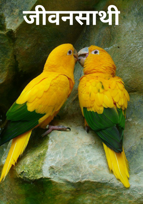 जीवनसाथी