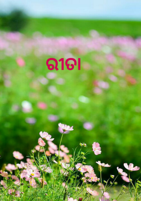 ରୀତା