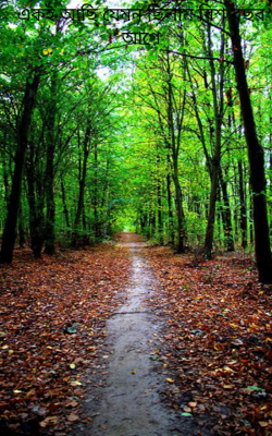 একই আছি যেমন ছিলাম বিশ বছর আগে