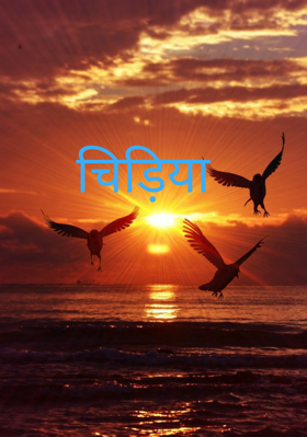 नन्ही चिड़िया