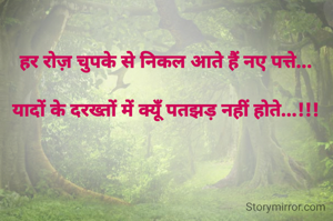 हर रोज़ चुपके से निकल आते हैं नए पत्ते...

यादों के दरख्तों में क्यूँ पतझड़ नहीं होते...!!!