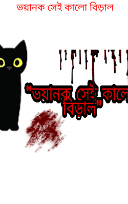 ভয়ানক সেই কালো বিড়াল