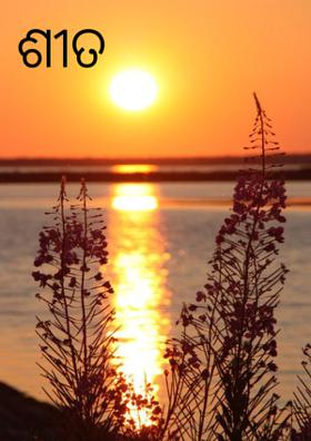 ଶୀତ ସକାଳ