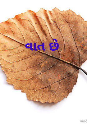 વાત છે