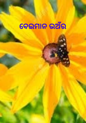 ବେଇମାନ ଭ‌ଅଁର