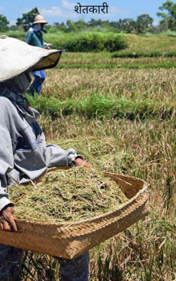 शेतकरी