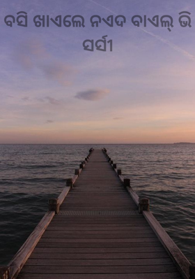 ବସି ଖାଏଲେ ନଏଦ ବାଏଲ୍ ଭି ସର୍ସୀ