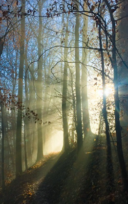 ମୁଁର ସ୍ୱର