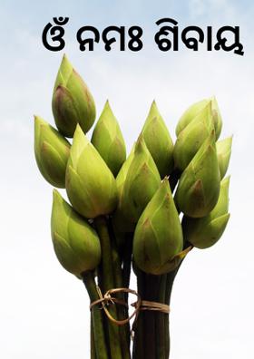 ଓଁ ନମଃ ଶିବାୟ