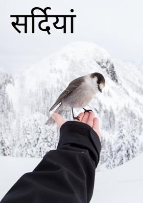 सर्दियां