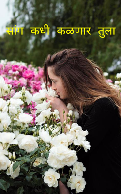 सांग कधी कळणार तुला