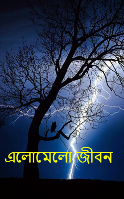 এলোমেলো জীবন