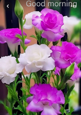 हर स्कूल एक जादुई स्कूल  है