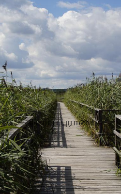 பெரிய புராணம்