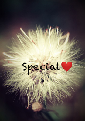 Special