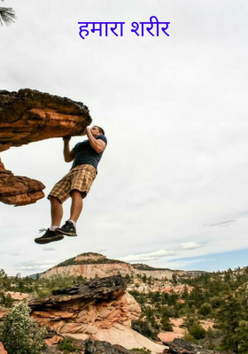 हमारा शरीर
