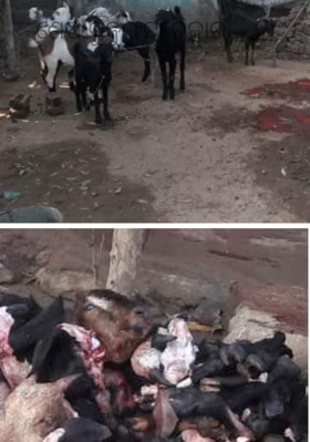 ଶେଷ ବୁକୁଫଟା ଚିତ୍କାର