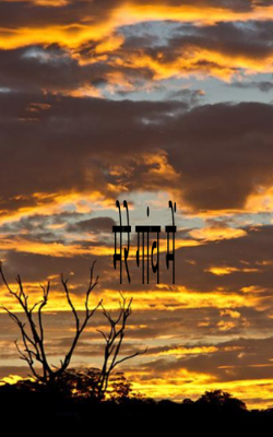 मेरे गांव में