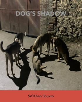 DOG’S SHADOW