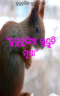 ତୁରୁତୁରିଆ ଗୁଣ୍ଡୁଚି ମୂଷା