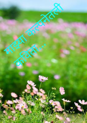 माझ्या कल्पनेतली कविता...