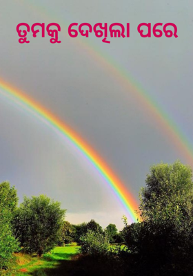 ତୁମକୁ ଦେଖିଲା ପରେ