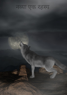 नव्या एक रहस्य 