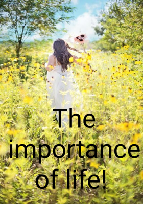The Importance Of Life!