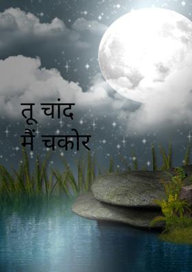 तू चांद मैं चकोर