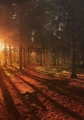 सुकून-ऐ-जिन्दगी