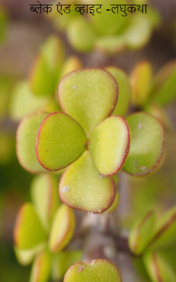 ब्लेक एंड व्हाइट -लघुकथा