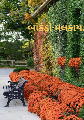 બાંકડો મલકાય