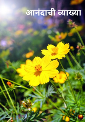 आनंदाची व्याख्या